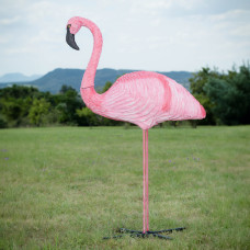 Wildcrete Flamingo standing